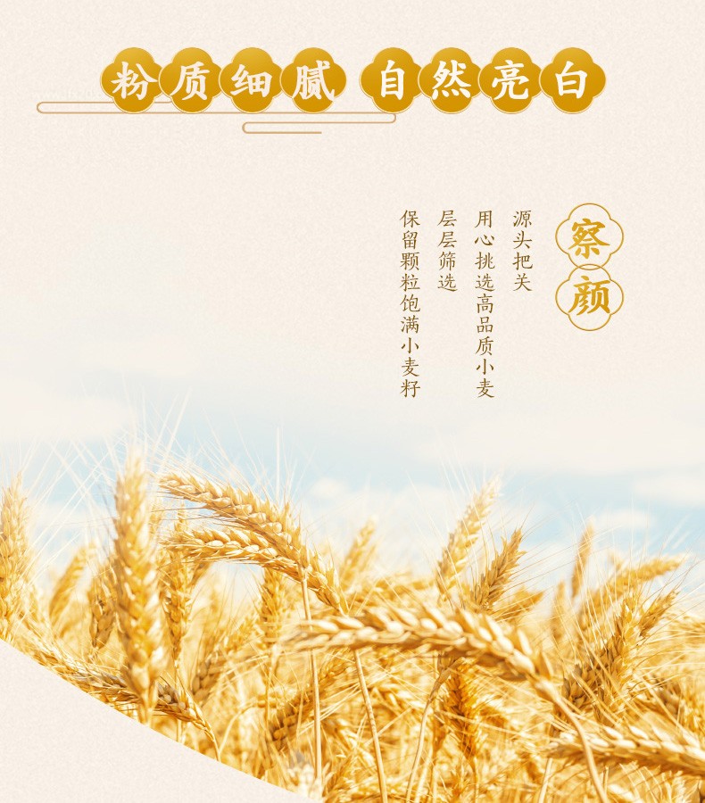 金龙鱼御品麦芯粉5KG
