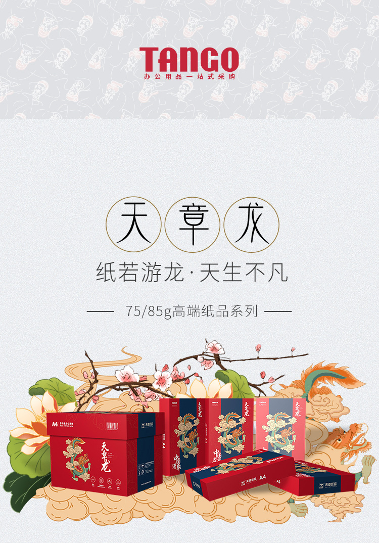 天章（TANGO）天章龙75g A4打印纸复印纸 高品质PA款打印纸 500张/包 5包/箱（共2500张）