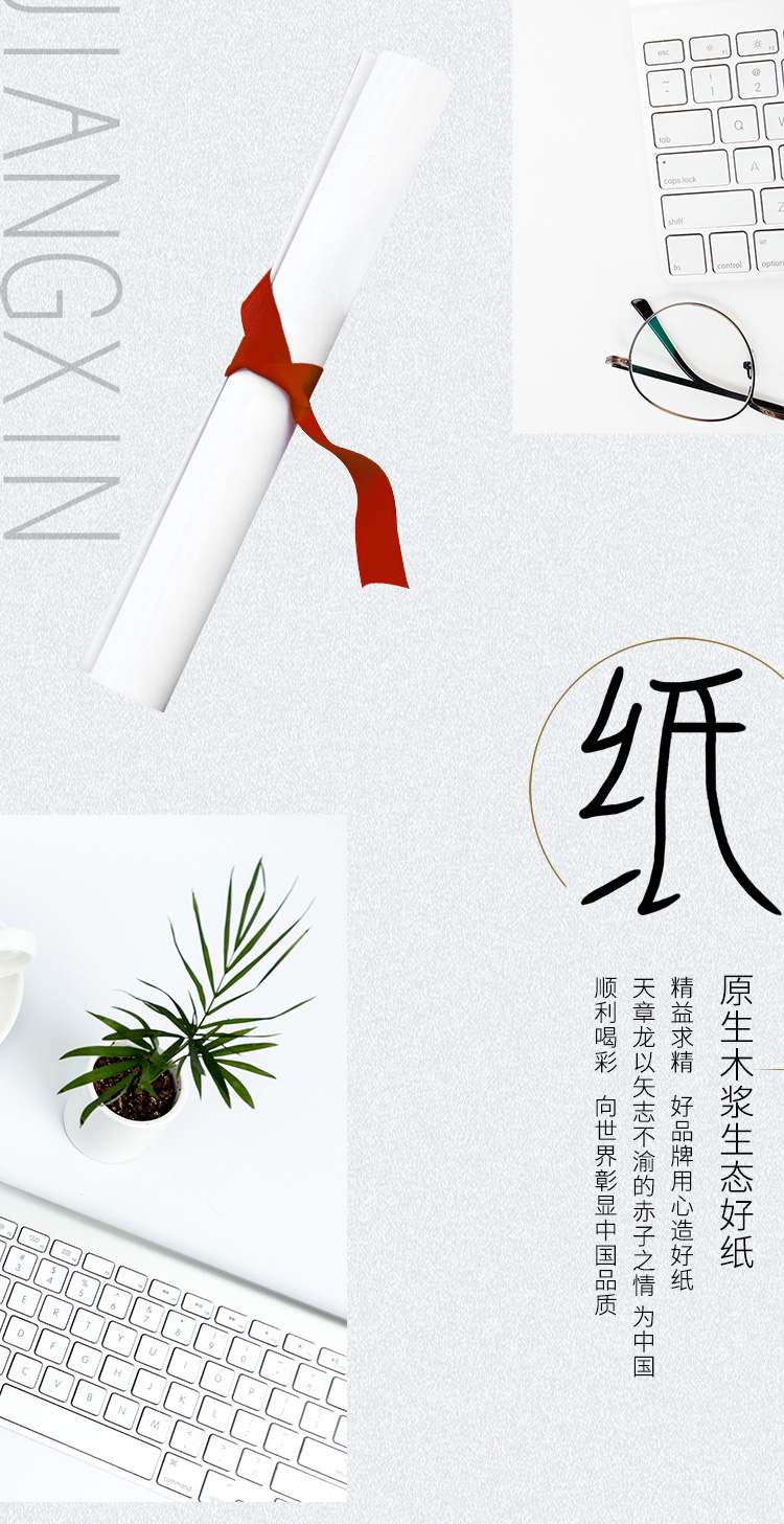天章（TANGO）天章龙75g A4打印纸复印纸 高品质PA款打印纸 500张/包 5包/箱（共2500张）