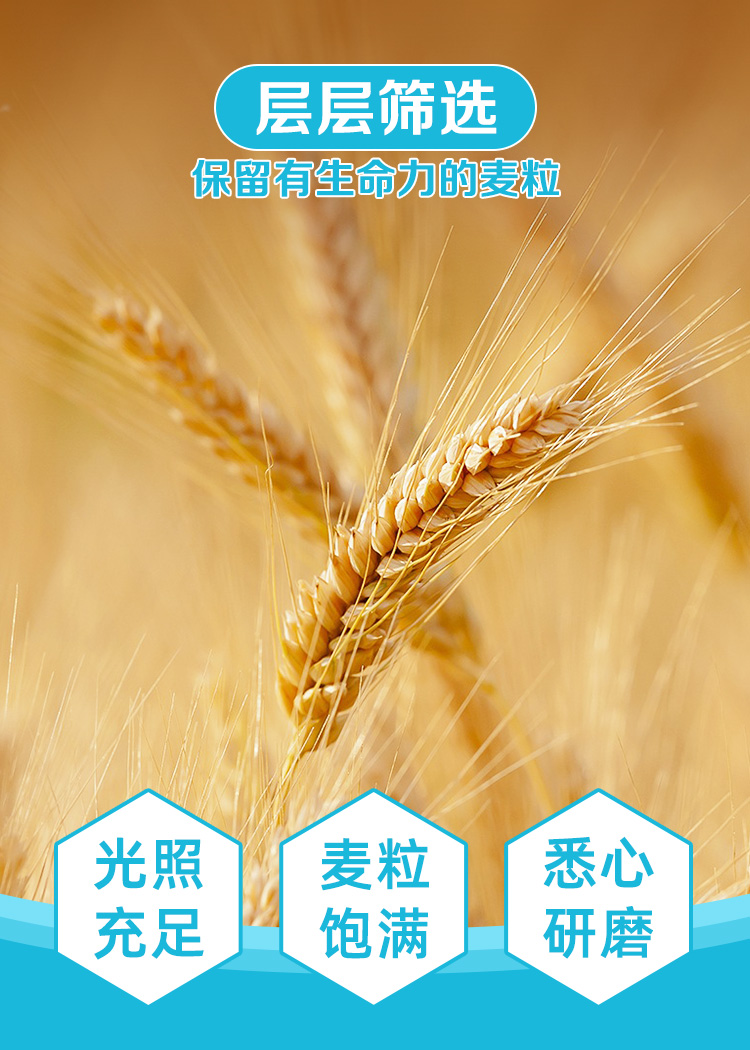 想念 宝宝精品盒装营养强化小面条钙铁锌挂面280g*2