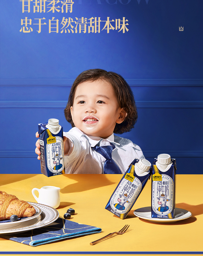 认养一头牛A2β-酪蛋白高端纯牛奶250ml * 10盒*2提
