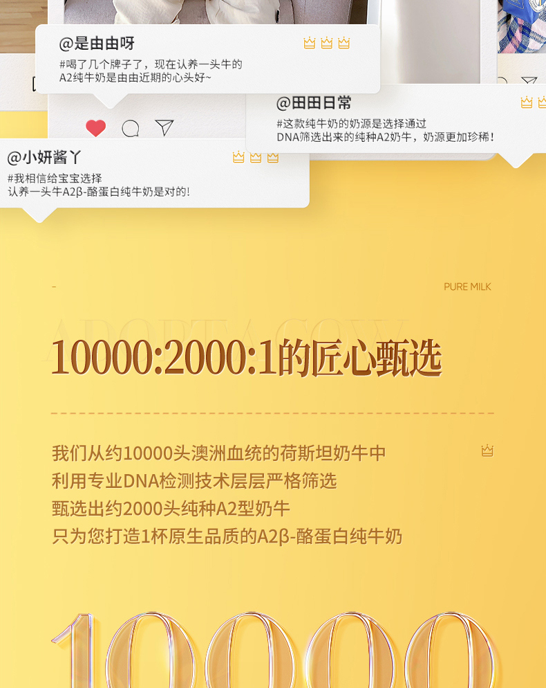 认养一头牛A2β-酪蛋白高端纯牛奶250ml * 10盒*2提