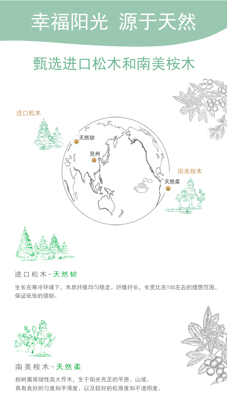 幸福阳光 卷纸 商用大盘纸卫生纸厕纸 2层*240米*12卷 商场酒店办公厕所用卫生纸（整箱销售）