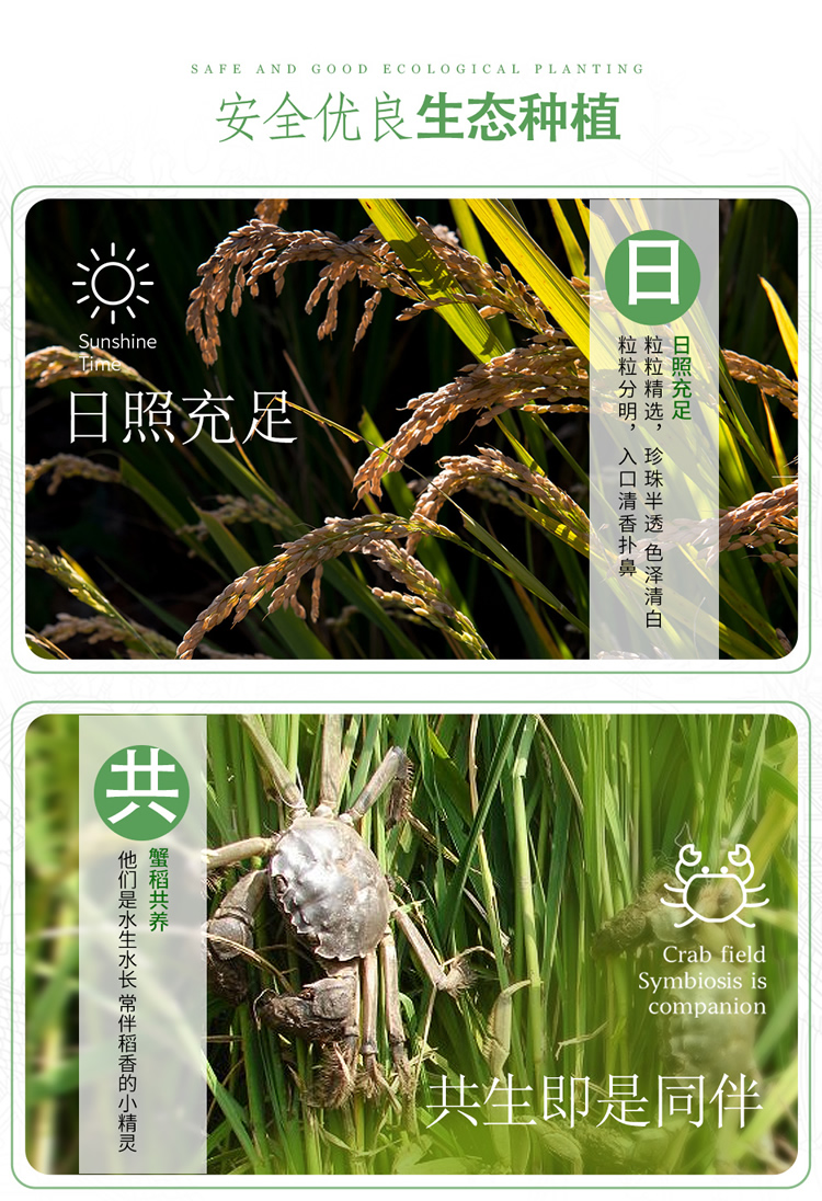 首粮五常长粒香大米礼盒1kg*5袋