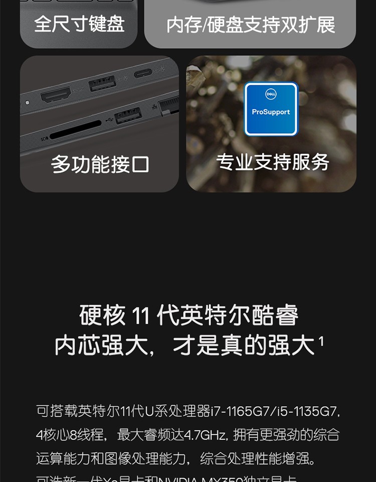 戴尔(DELL) 成就3510 15.6英寸新款十一代酷睿轻薄笔记本电脑 i5-1135G7 8G 512G MX350 2G 黑色
