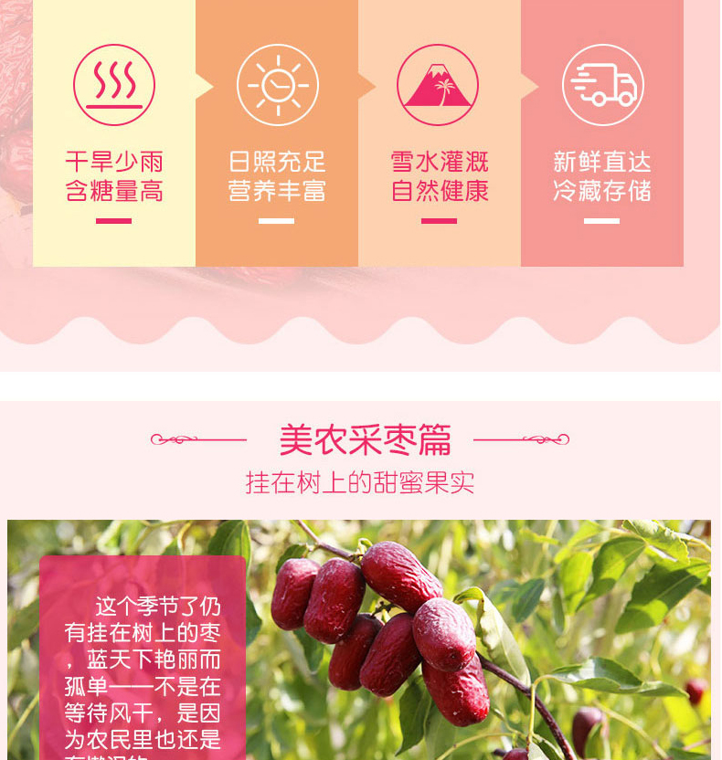 燕之坊精选新疆红枣 孕妇零食 月子零食阿克苏小枣 鸿运枣到礼盒800g(40g*20袋）