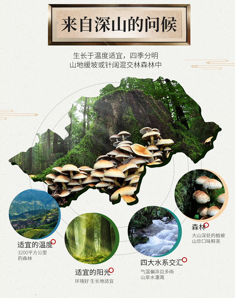 首粮然萃南北干货礼盒山珍食用菌菇大礼包 山珍汇彩干菌礼盒808g