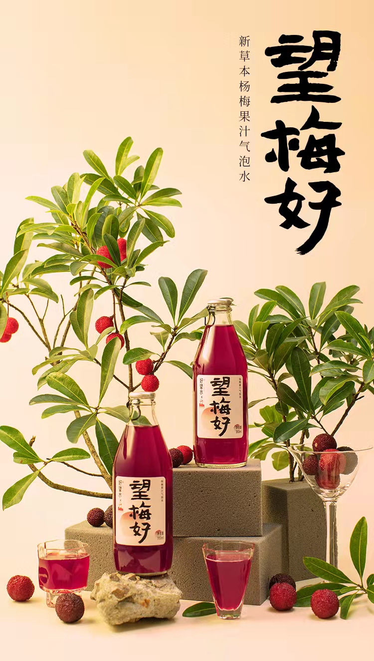 好望水 望梅好新草本杨梅果汁 气泡水饮品好望水网红饮料300ml*6瓶整箱装