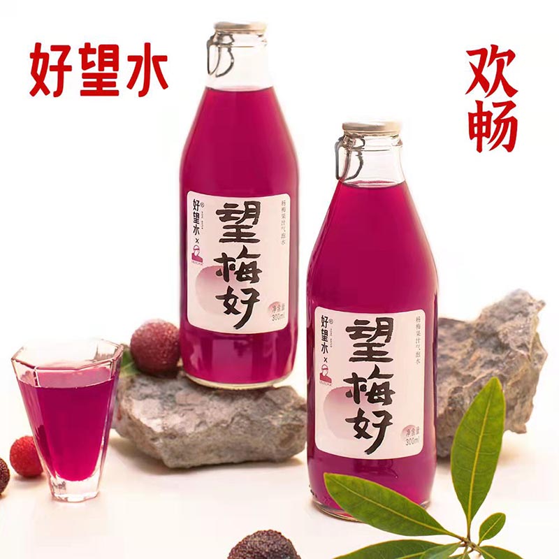 好望水 望梅好新草本杨梅果汁 气泡水饮品好望水网红饮料300ml*6瓶整箱装