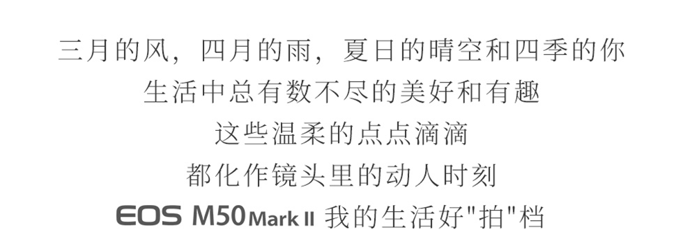 佳能（Canon）m50二代 微单相机 2代 数码相机 自拍美颜微单套机 白色 Vlog m50二代黑色+15-45套机 官方标配