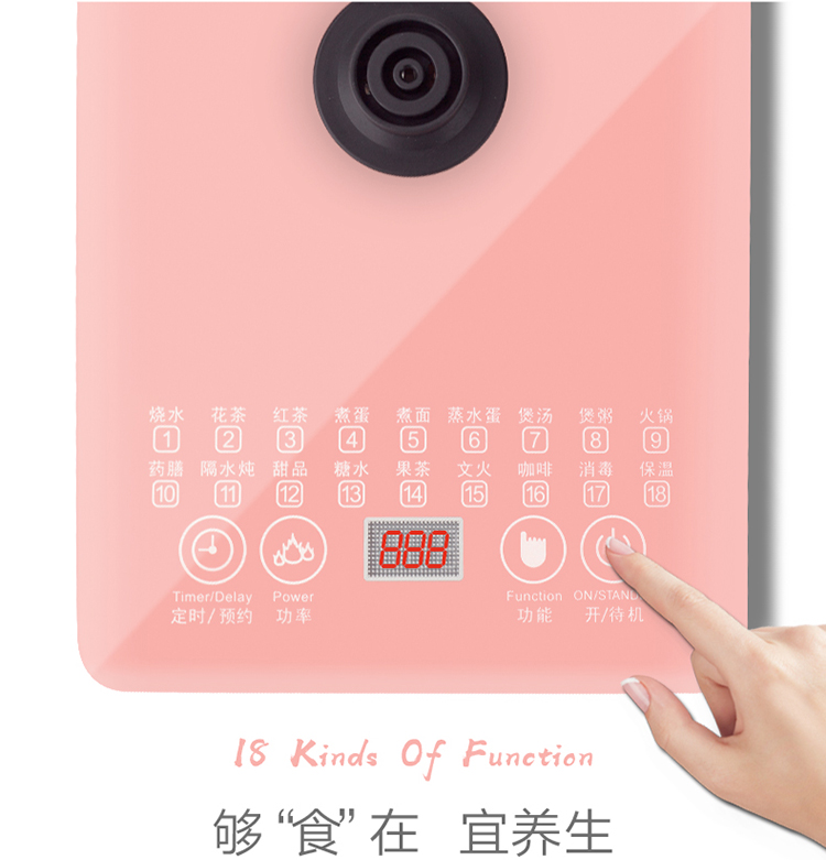 长虹养生壶 电水壶烧水壶煎药壶煮茶器煮茶壶电热水壶 迷你玻璃花茶壶黑茶恒温水壶CYS-18D06C