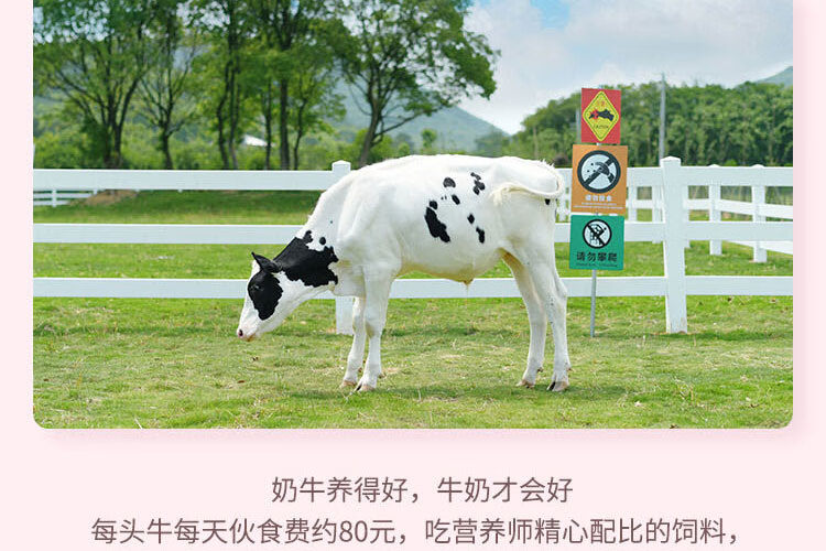 认养一头牛法式风味高端酸奶白桃燕麦味230g*10瓶*2提