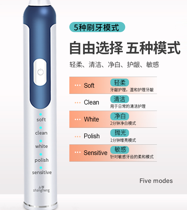 上亨（shangheng）电动牙刷成人声波震动牙刷磁悬马达杜邦刷毛全机身防水男女通用情侣款全自动蓝SHZH-002