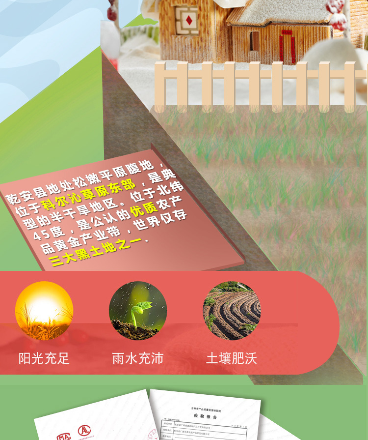 绿次方绿豆 杂粮五谷杂粮绿豆400g