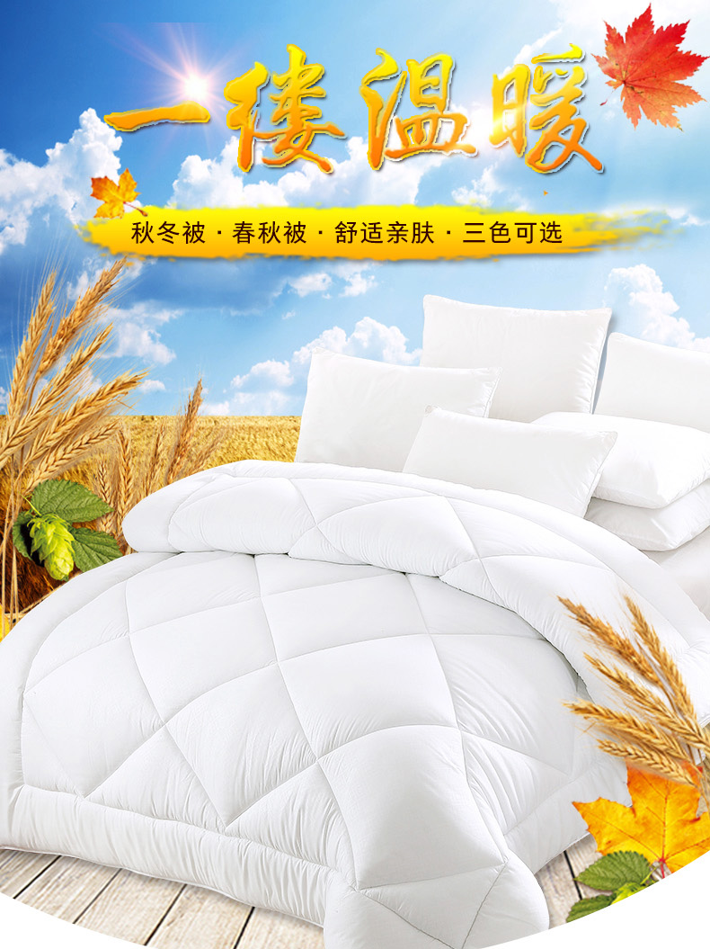 恒源祥家纺 亲肤亲舒被  2DG2055