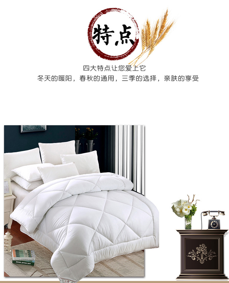 恒源祥家纺 亲肤亲舒被  2DG2055