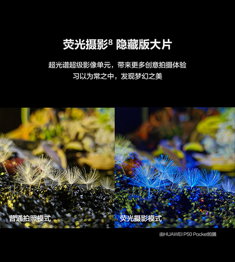 华为 P50 Pocket 4G全网通 超光谱影像系统 创新双屏操作体验 P50 12GB+512GB鎏光金定制版 华为折叠屏手机