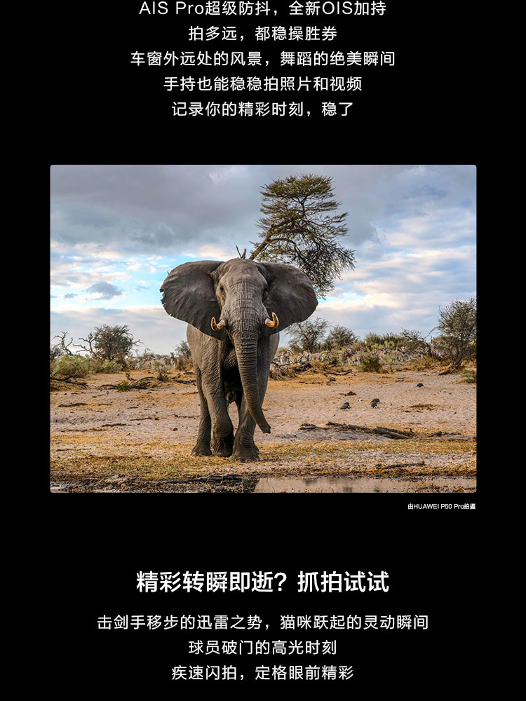 华为 P50 Pro 骁龙888 4G全网通 原色双影像单元 万象双环设计 HarmonyOS 2 8GB+256GB曜金黑 华为手机