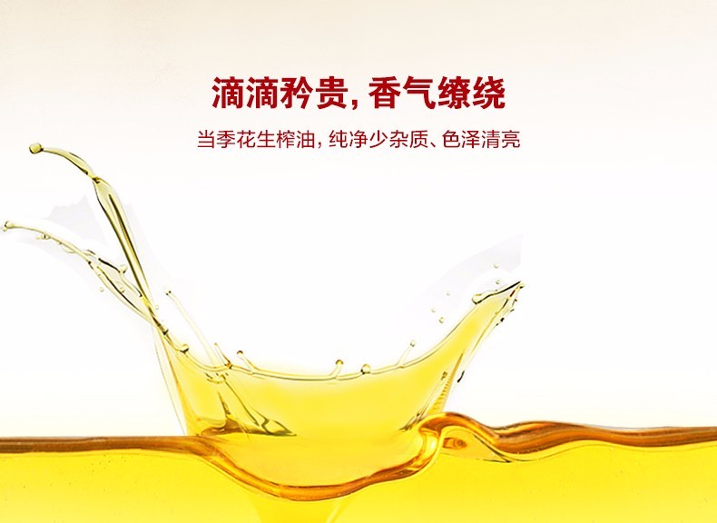 金龙鱼匠心花生油5L