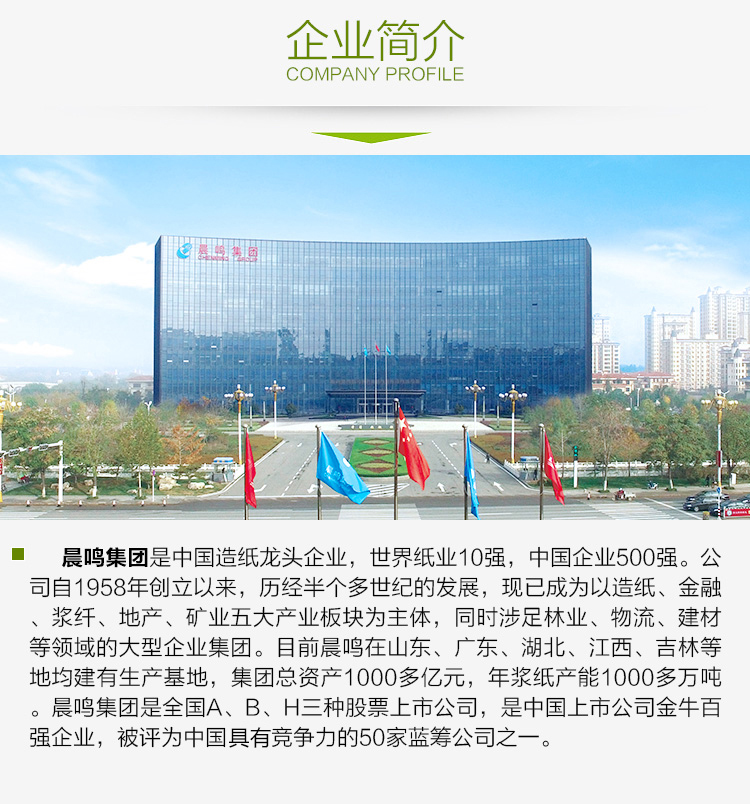 晨鸣 四联三等分打印纸 彩色针式电脑打印纸241-4-1/3 (撕边 色序：白粉黄兰 1000页/箱)
