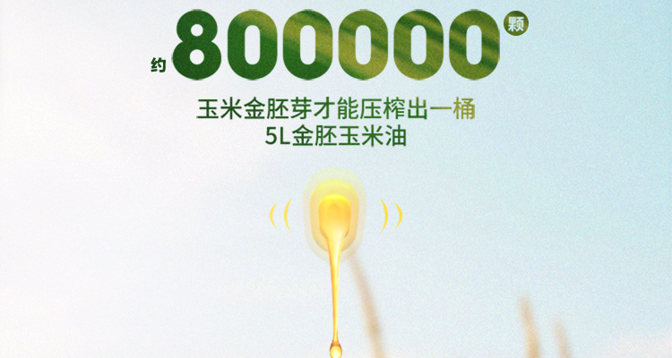 长寿花金肧玉米油5L