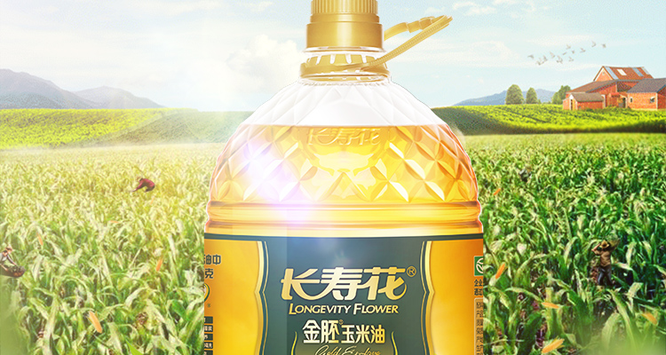 长寿花金肧玉米油5L