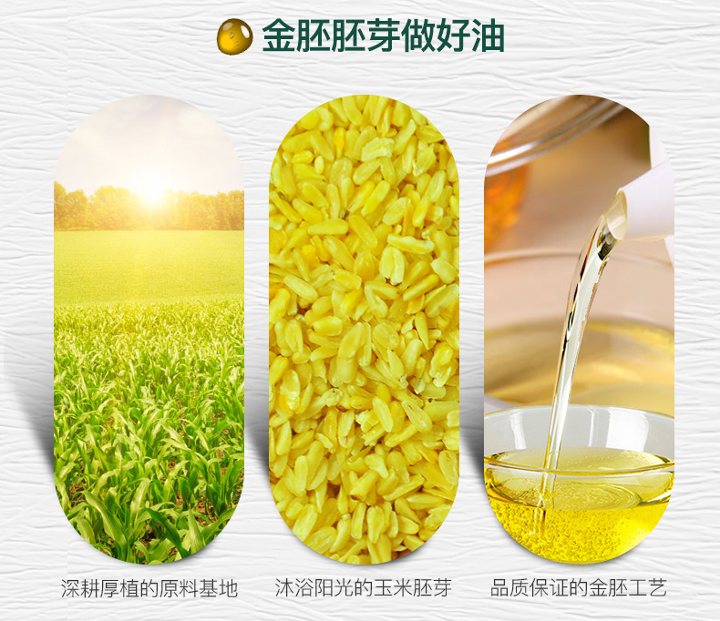 长寿花金胚至尊玉米油5L