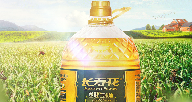 长寿花金肧玉米油4L