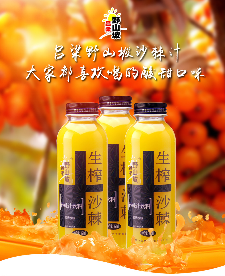 吕梁野山坡沙棘汁圆瓶沙棘玻璃瓶装350ml 6瓶装