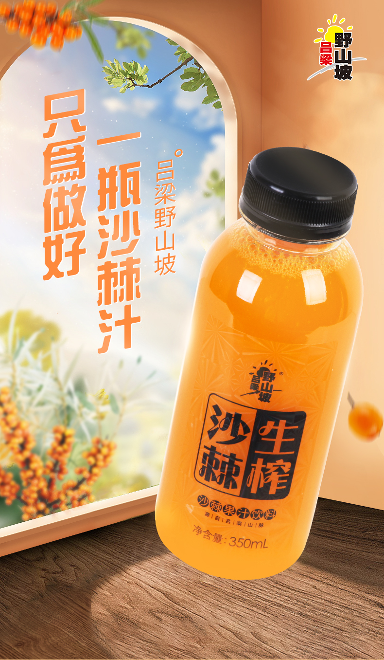 吕梁野山坡沙棘汁350ml 10瓶礼盒装