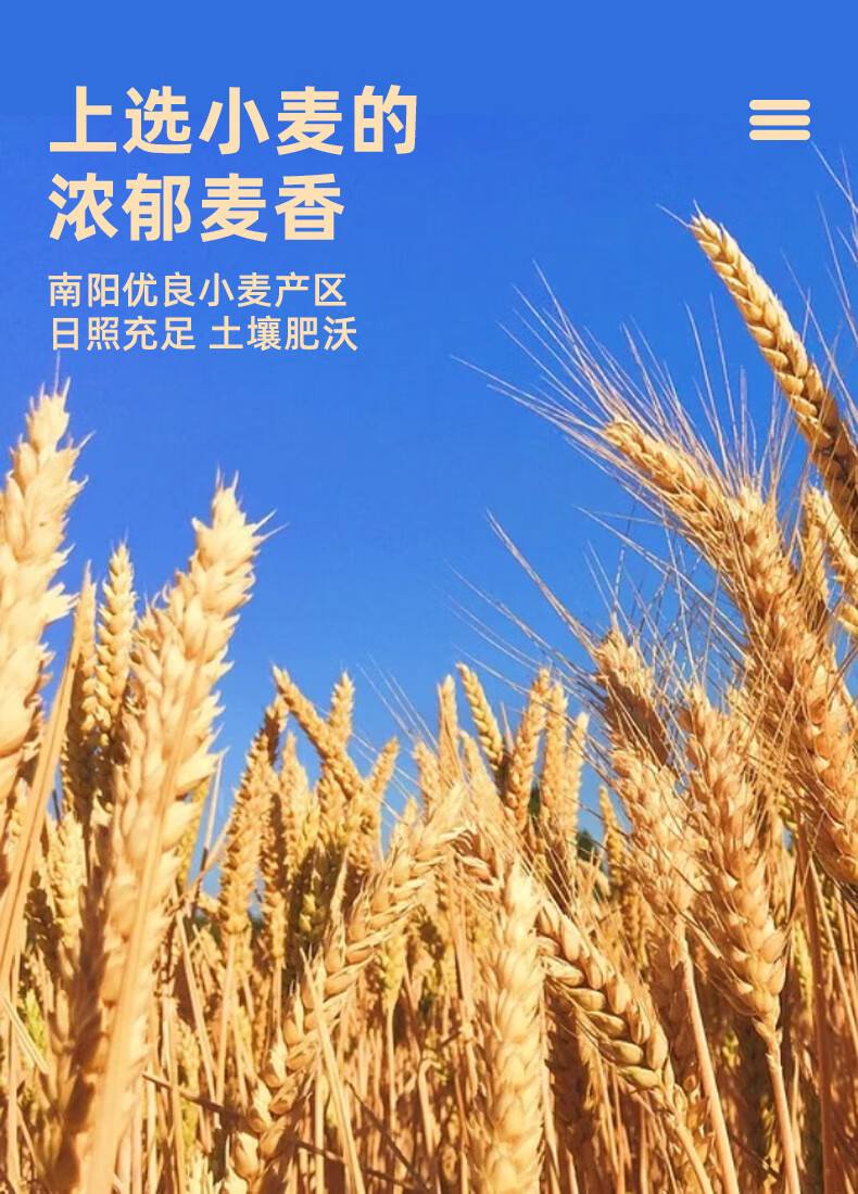 想念面特色一号线龙须挂面礼盒5Kg
