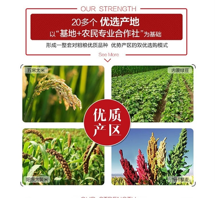 燕之坊黄金苗黄小米475g