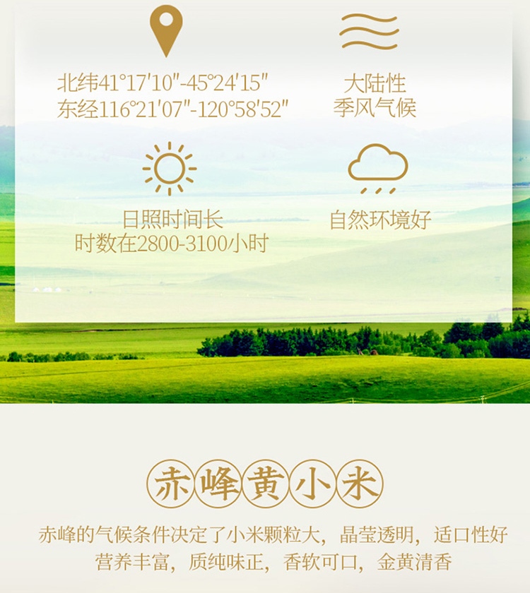 燕之坊黄金苗黄小米475g