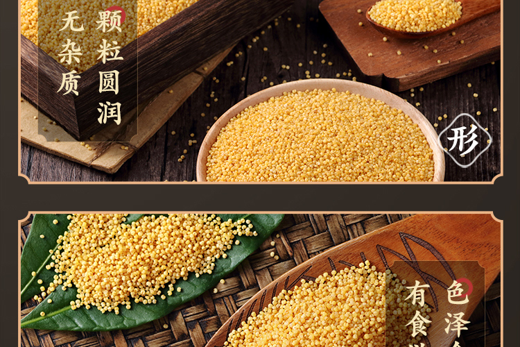 十月稻田 山西黄小米500g*3袋