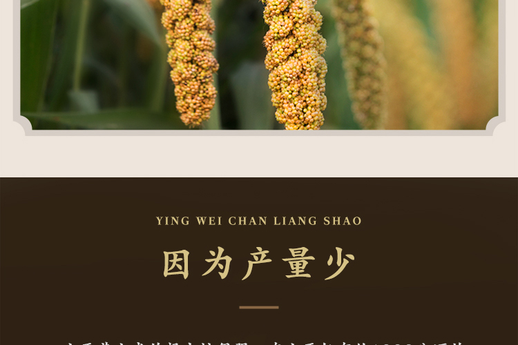 十月稻田 山西黄小米500g*3袋