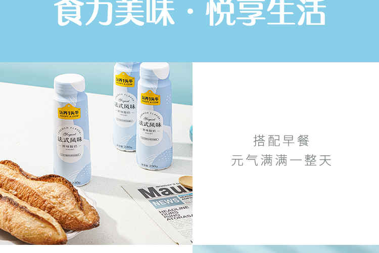 认养一头牛法式风味高端酸奶原味230g*10瓶