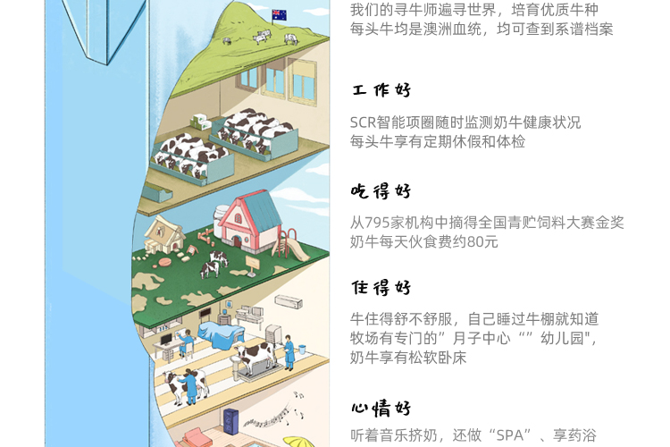 认养一头牛纯牛奶250ml*12盒*2提早餐营养奶健康纯奶