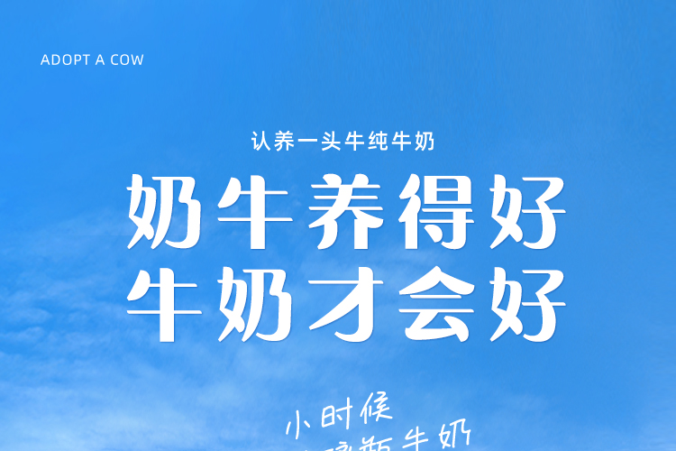 认养一头牛纯牛奶250ml*12盒*2提早餐营养奶健康纯奶