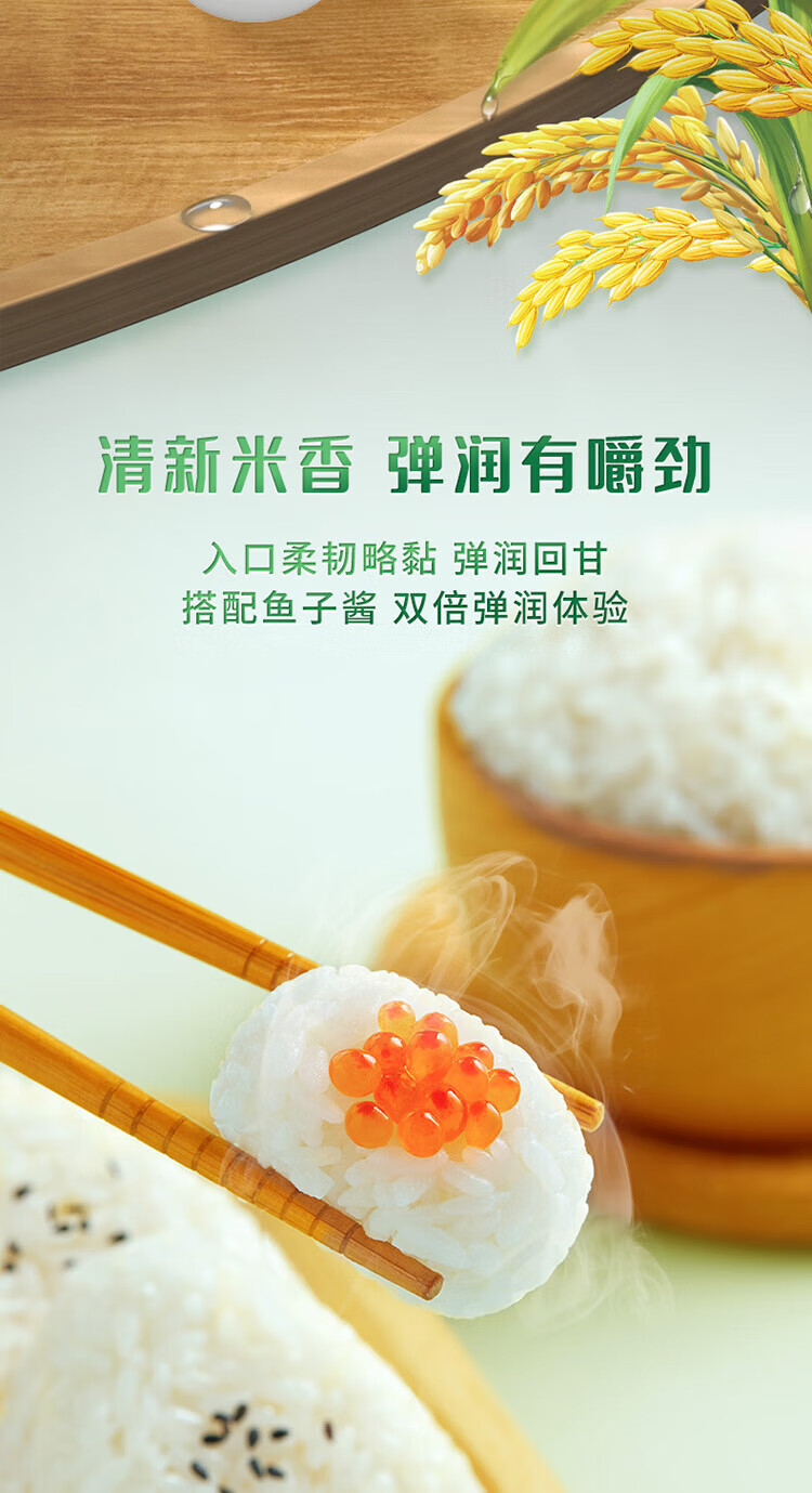 十月稻田 长粒香大米5kg