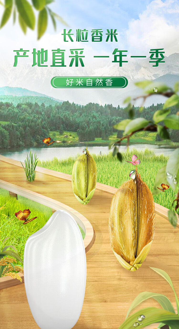 十月稻田 长粒香大米5kg