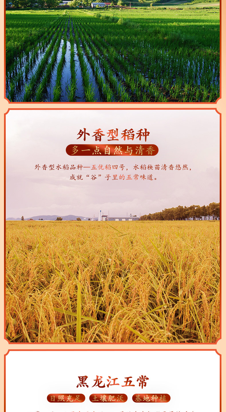 柴火大院 五常大米5kg