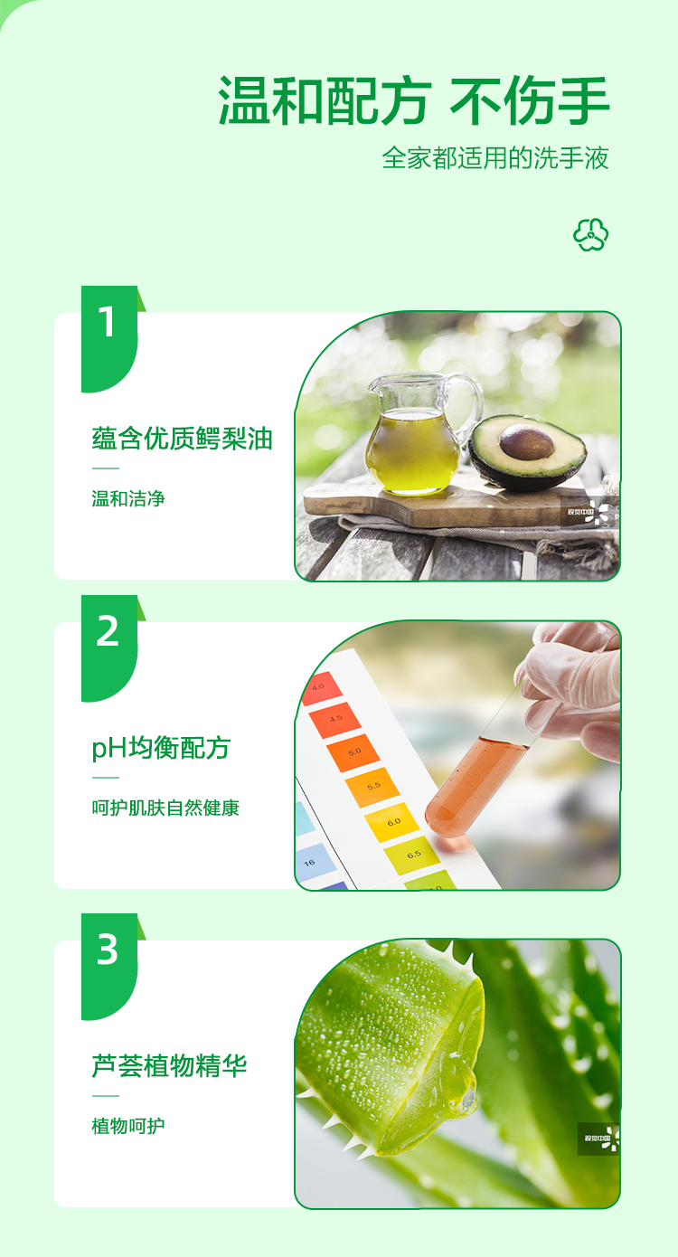 滴露健康洗手液自然清新500g