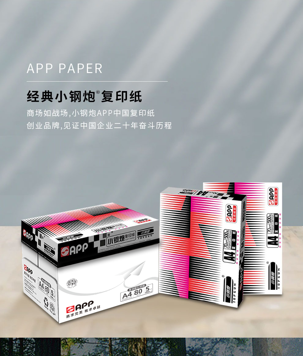 小钢炮 TOPGUN A4复印纸70g 2500张/5包/箱 特级小钢炮打印纸