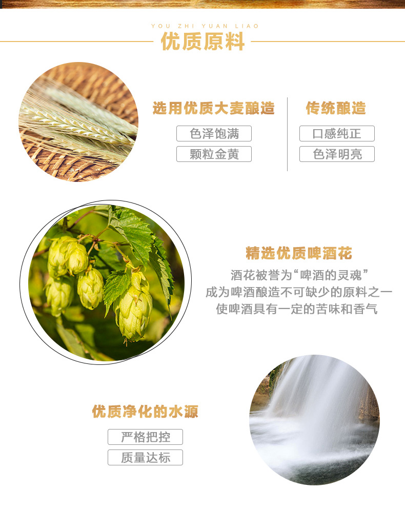 青岛啤酒（TSINGTAO）11度296ml*24棕金箱啤