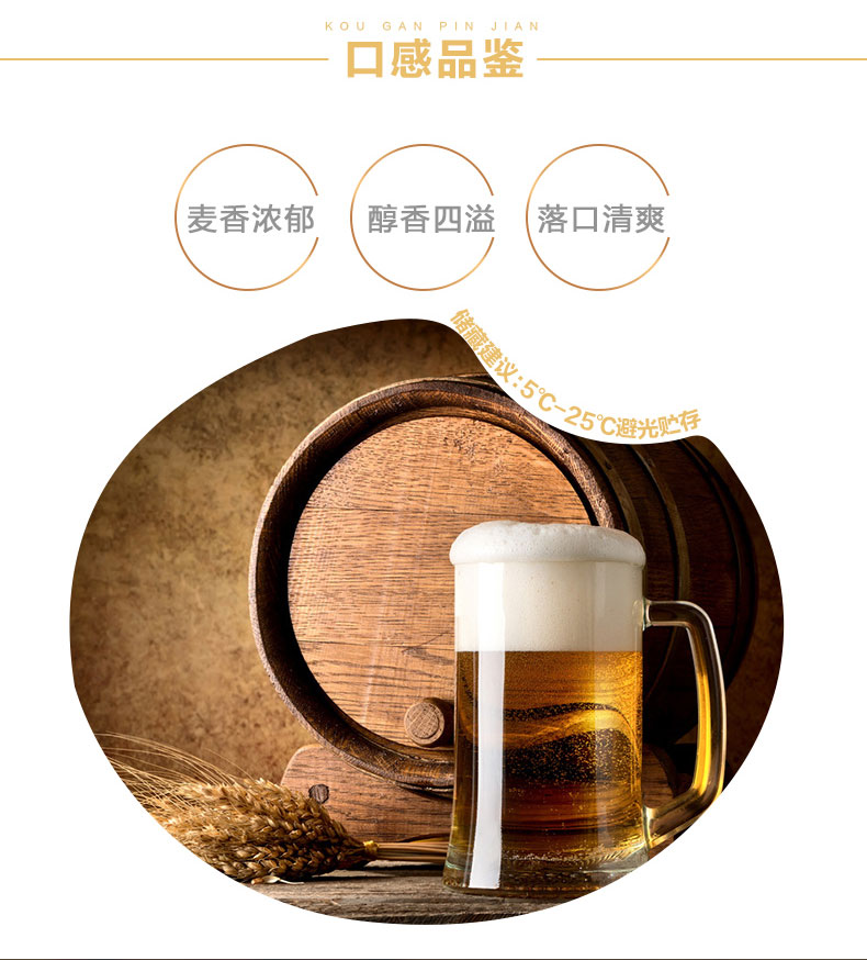 青岛啤酒（TSINGTAO）11度296ml*24棕金箱啤
