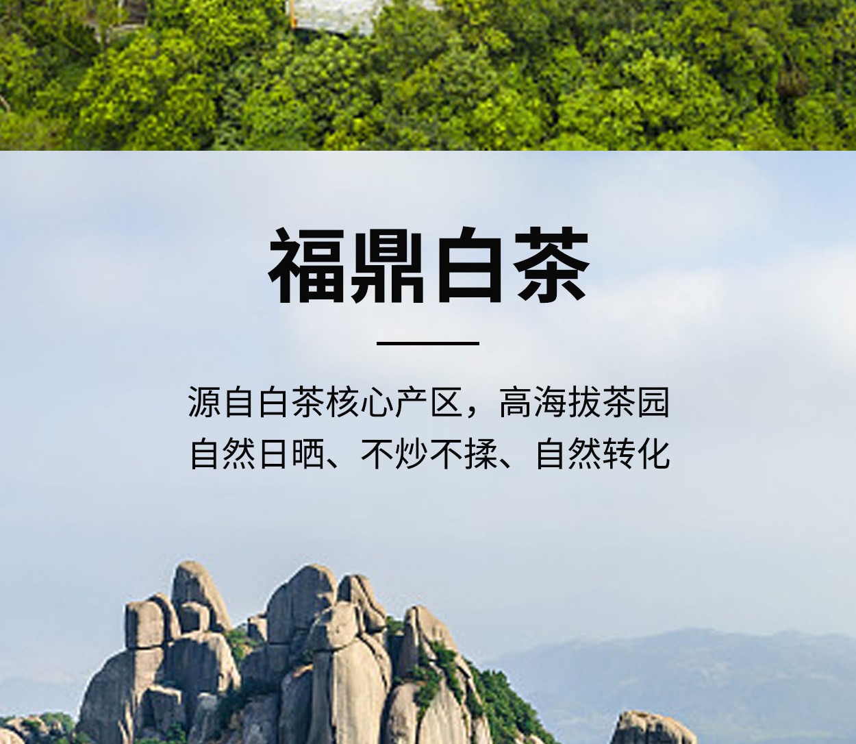 得一茶·陈皮白茶礼盒 5g/泡，40泡/盒