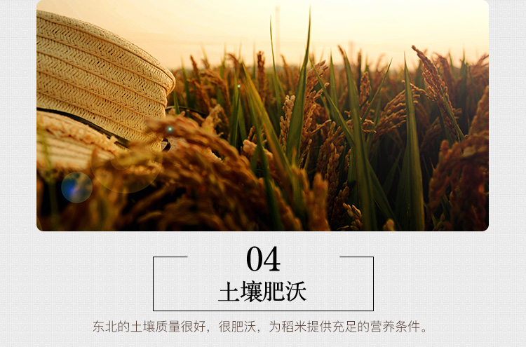 裕道府大米东北大米五常有机大米 5kg