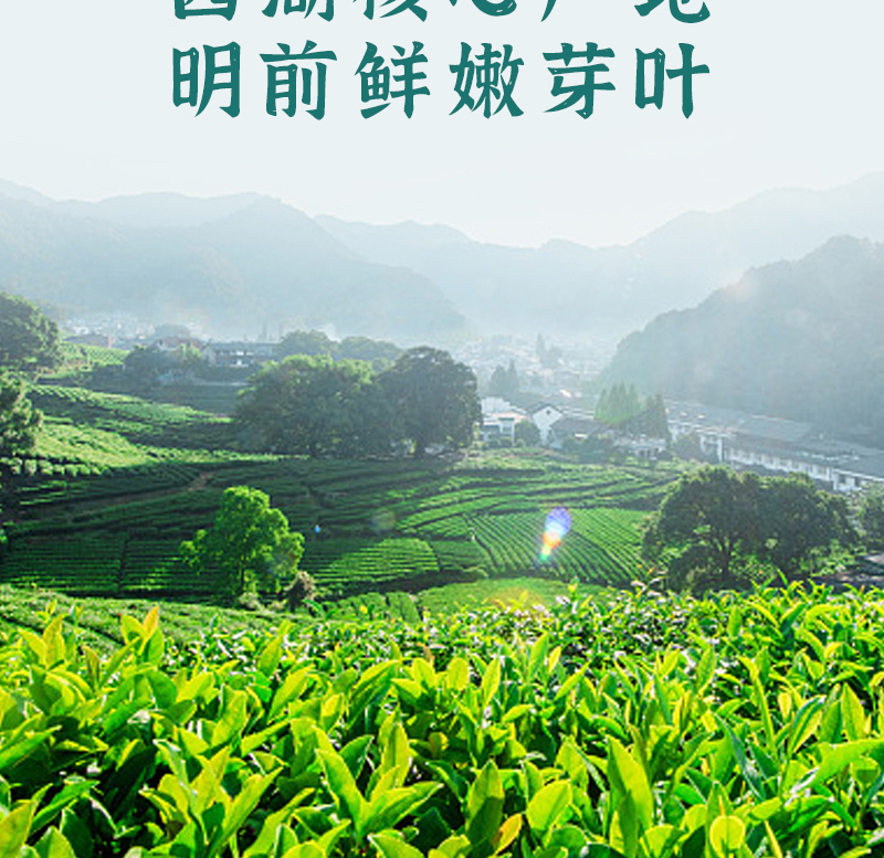 得一茶 西湖龙井茶袋装100g