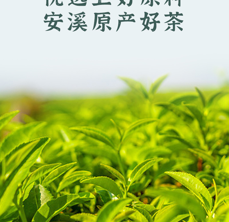 得一茶 安溪铁观音罐装250g