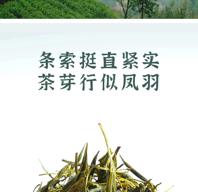得一茶 安吉白茶罐装250g